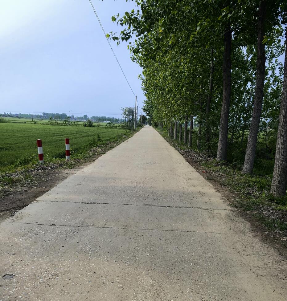 17139563945797.jpg 6666.jpg