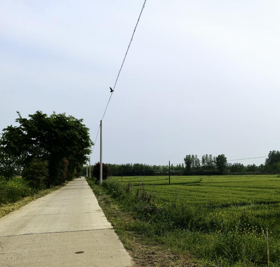 17139565108143.jpg 7777.jpg